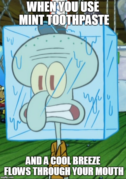 Squidward Frozen Head | WHEN YOU USE MINT TOOTHPASTE; AND A COOL BREEZE FLOWS THROUGH YOUR MOUTH | image tagged in squidward frozen head | made w/ Imgflip meme maker