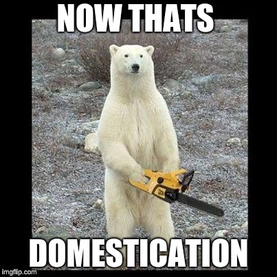 Chainsaw Bear Meme | NOW THATS; DOMESTICATION | image tagged in memes,chainsaw bear | made w/ Imgflip meme maker