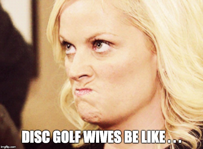 Amy Poehler | DISC GOLF WIVES BE LIKE . . . | image tagged in amy poehler | made w/ Imgflip meme maker