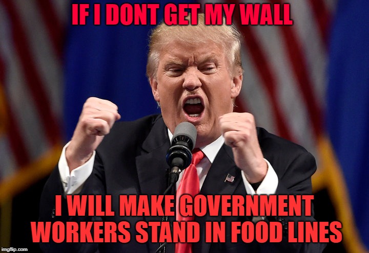 Angry Trump 3 | IF I DONT GET MY WALL; I WILL MAKE GOVERNMENT WORKERS STAND IN FOOD LINES | image tagged in angry trump 3 | made w/ Imgflip meme maker