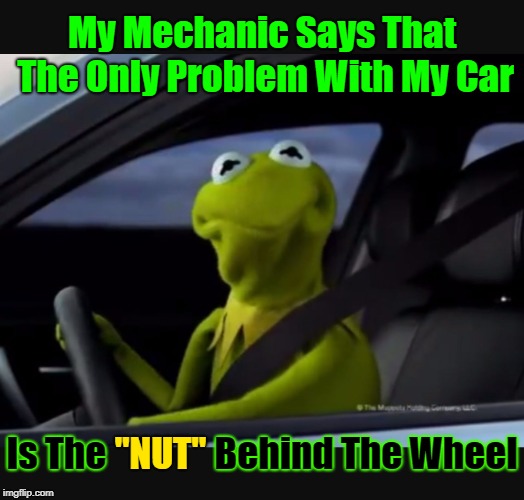 Who the heck he calling a 'NUT'?  | My Mechanic Says That The Only Problem With My Car; Is The               Behind The Wheel; "NUT" | image tagged in kermit driver,memes,kermit the frog,mechanic,nut behind the wheel,google images | made w/ Imgflip meme maker