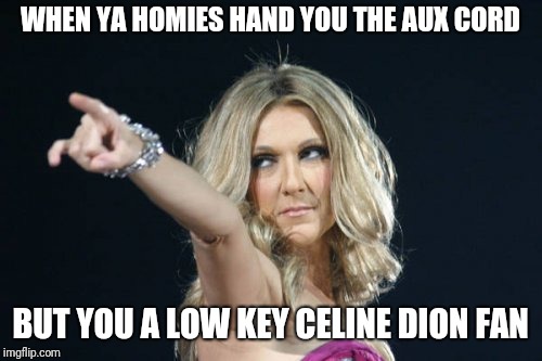 Celine Dion | WHEN YA HOMIES HAND YOU THE AUX CORD; BUT YOU A LOW KEY CELINE DION FAN | image tagged in celine dion | made w/ Imgflip meme maker