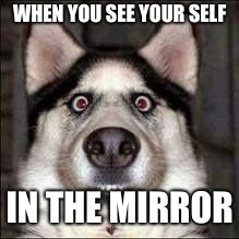 WHEN YOU SEE YOUR SELF; IN THE MIRROR | image tagged in the reversed | made w/ Imgflip meme maker