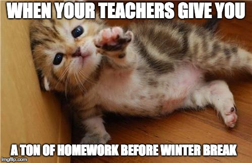 Drowning in Homework | WHEN YOUR TEACHERS GIVE YOU; A TON OF HOMEWORK BEFORE WINTER BREAK | image tagged in help me kitten | made w/ Imgflip meme maker