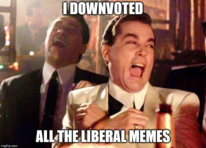 they aren't funny anyway | I DOWNVOTED; ALL THE LIBERAL MEMES | image tagged in hahahahaha | made w/ Imgflip meme maker