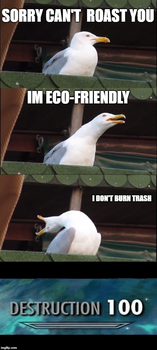 Inhaling Seagull Meme | SORRY CAN'T  ROAST YOU; IM ECO-FRIENDLY; I DON'T BURN TRASH | image tagged in memes,inhaling seagull | made w/ Imgflip meme maker