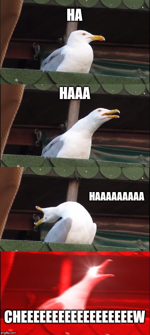 Inhaling Seagull Meme | HA; HAAA; HAAAAAAAAA; CHEEEEEEEEEEEEEEEEEEW | image tagged in memes,inhaling seagull | made w/ Imgflip meme maker