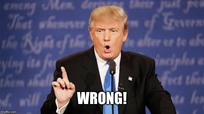 Donald Trump Wrong | WRONG! | image tagged in donald trump wrong | made w/ Imgflip meme maker