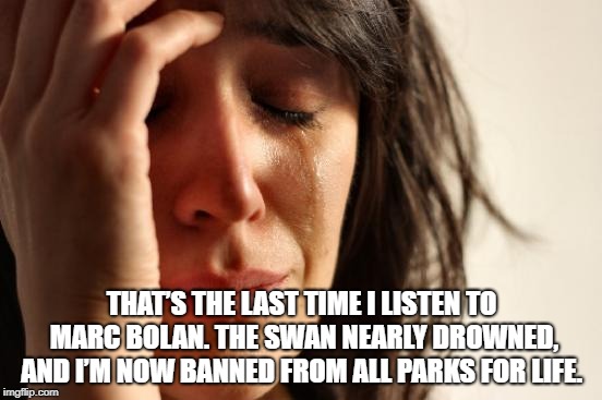 First World Problems | THAT’S THE LAST TIME I LISTEN TO MARC BOLAN. THE SWAN NEARLY DROWNED, AND I’M NOW BANNED FROM ALL PARKS FOR LIFE. | image tagged in memes,first world problems | made w/ Imgflip meme maker