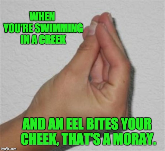 italian gesture | WHEN YOU'RE SWIMMING IN A CREEK; AND AN EEL BITES YOUR CHEEK, THAT'S A MORAY. | image tagged in italian gesture | made w/ Imgflip meme maker
