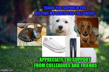 THANK YOU SOPHIE M FOR HELPING ME REACH 300 FOLLOWERS; APPRECIATE THE SUPPORT FROM COLLEAGUES AND FRIENDS | image tagged in for sophie | made w/ Imgflip meme maker