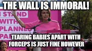 pelosi | THE WALL IS IMMORAL! TEARING BABIES APART WITH FORCEPS IS JUST FINE HOWEVER | image tagged in wall,nancy pelosi,government shutdown | made w/ Imgflip meme maker