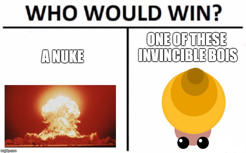 Who Would Win? Meme | ONE OF THESE INVINCIBLE BOIS; A NUKE | image tagged in memes,who would win | made w/ Imgflip meme maker