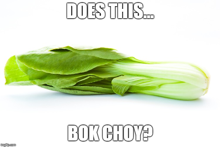 Ask yourself... | DOES THIS... BOK CHOY? | image tagged in bok choy,marie kondo,puns,bad puns,dad joke | made w/ Imgflip meme maker