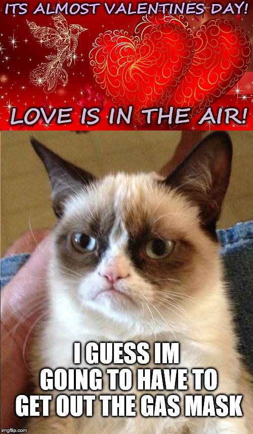 ITS ALMOST VALENTINES DAY! LOVE IS IN THE AIR! I GUESS IM GOING TO HAVE TO GET OUT THE GAS MASK | image tagged in memes,back in my day | made w/ Imgflip meme maker