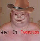 High Quality What in tarnation Blank Meme Template