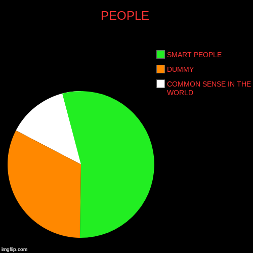 PEOPLE | COMMON SENSE IN THE WORLD, DUMMY , SMART PEOPLE | image tagged in funny,pie charts | made w/ Imgflip chart maker