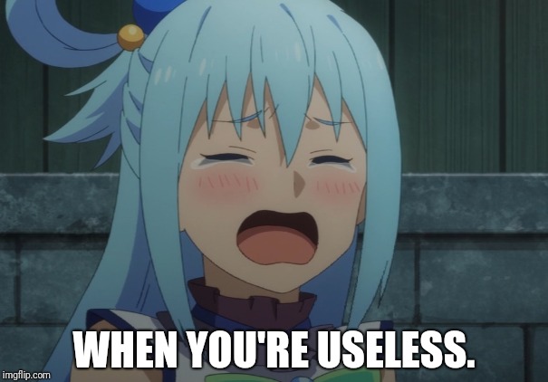 WHEN YOU'RE USELESS. | made w/ Imgflip meme maker