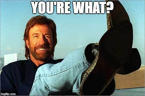 Chuck Norris Says | YOU'RE WHAT? | image tagged in chuck norris says | made w/ Imgflip meme maker