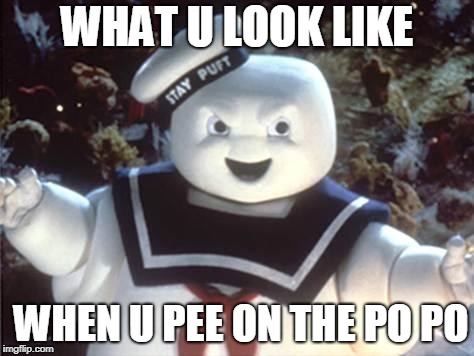Stay Puft Marshmallow Man | WHAT U LOOK LIKE; WHEN U PEE ON THE PO PO | image tagged in stay puft marshmallow man | made w/ Imgflip meme maker