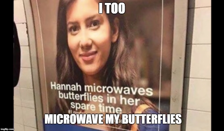  I TOO; MICROWAVE MY BUTTERFLIES | image tagged in yeet,microwave,butterflies,microwavingbutterflies | made w/ Imgflip meme maker