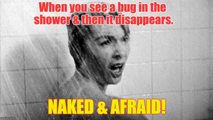 Oh! Hell No! |  When you see a bug in the shower & then it disappears. NAKED & AFRAID! | image tagged in shower | made w/ Imgflip meme maker