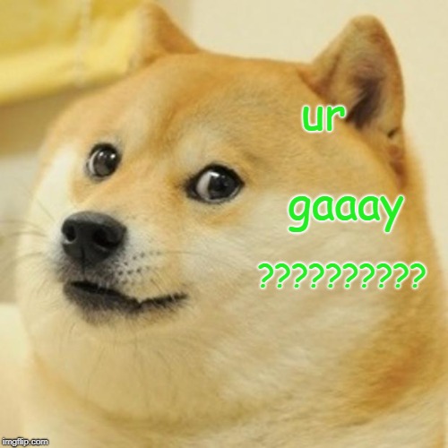 Doge | ur; gaaay; ?????????? | image tagged in memes,doge | made w/ Imgflip meme maker