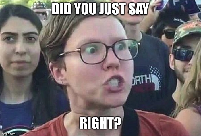 Triggered Liberal | DID YOU JUST SAY RIGHT? | image tagged in triggered liberal | made w/ Imgflip meme maker