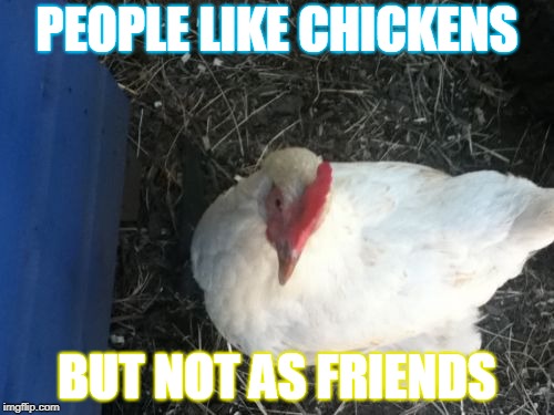 Angry Chicken Boss | PEOPLE LIKE CHICKENS; BUT NOT AS FRIENDS | image tagged in memes,angry chicken boss | made w/ Imgflip meme maker