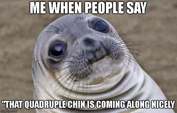 I am not this fat by da way | ME WHEN PEOPLE SAY; "THAT QUADRUPLE CHIN IS COMING ALONG NICELY | image tagged in memes,awkward moment sealion,fat,quadruple chin,double chin,triple chin | made w/ Imgflip meme maker