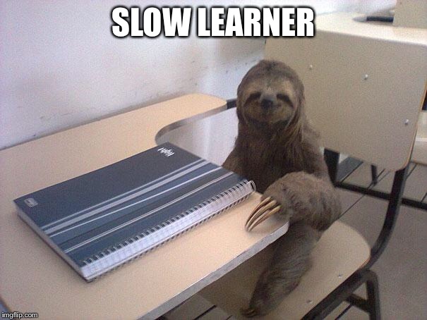 sloth student | SLOW LEARNER | image tagged in sloth student | made w/ Imgflip meme maker