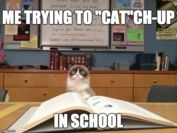 Grumpy cat studying | ME TRYING TO "CAT"CH-UP; IN SCHOOL | image tagged in grumpy cat studying | made w/ Imgflip meme maker