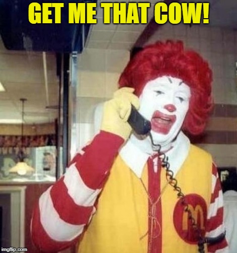 Ronald McDonald on the phone | GET ME THAT COW! | image tagged in ronald mcdonald on the phone | made w/ Imgflip meme maker