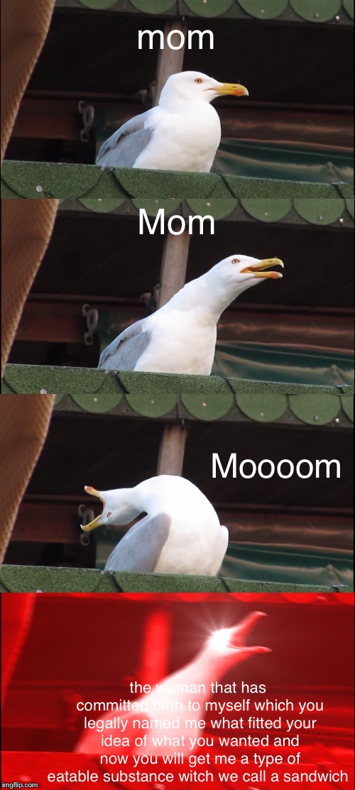 Inhaling Seagull Meme | mom; Mom; Moooom; the woman that has committed birth to myself which you legally named me what fitted your idea of what you wanted and now you will get me a type of eatable substance witch we call a sandwich | image tagged in memes,inhaling seagull | made w/ Imgflip meme maker