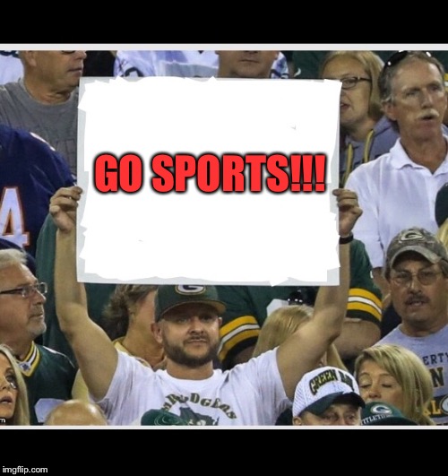 Go sports go!!! | GO SPORTS!!! | image tagged in my stupid fan sign,sports,football,funny,memes | made w/ Imgflip meme maker