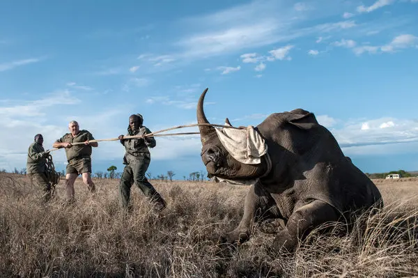 Poacher Blank Meme Template