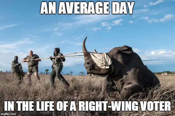 Poacher | AN AVERAGE DAY; IN THE LIFE OF A RIGHT-WING VOTER | image tagged in poacher,poachers,right wing,right-wing,rightism,rightist | made w/ Imgflip meme maker