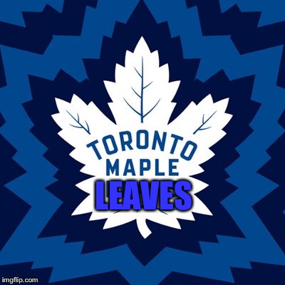 There, I corrected your grammar mistake  |  LEAVES | image tagged in maple leafs,hockey,nhl,funny,memes | made w/ Imgflip meme maker