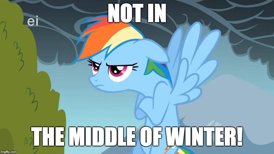 Grumpy Pony | NOT IN THE MIDDLE OF WINTER! | image tagged in grumpy pony | made w/ Imgflip meme maker