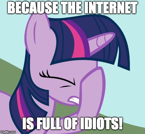 TS face hoof | BECAUSE THE INTERNET IS FULL OF IDIOTS! | image tagged in ts face hoof | made w/ Imgflip meme maker