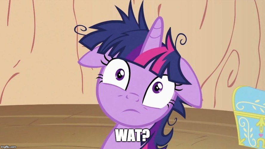 Messy Twilight Sparkle | WAT? | image tagged in messy twilight sparkle | made w/ Imgflip meme maker