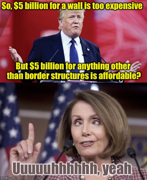 Proving that “expensive and ineffective” was just a bogus excuse to keep the government shut down | So, $5 billion for a wall is too expensive; But $5 billion for anything other than border structures is affordable? Uuuuuhhhhhh, yeah | image tagged in trump-question,nancy pelosi | made w/ Imgflip meme maker