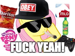 MLG Pony | F**K YEAH! | image tagged in mlg pony | made w/ Imgflip meme maker