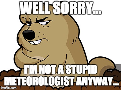 Meteorologist..or not! | WELL SORRY... I'M NOT A STUPID METEOROLOGIST ANYWAY... | image tagged in groundhog day,weatherman | made w/ Imgflip meme maker