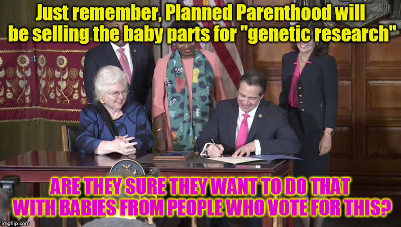 Maybe should look for a stronger gene pool than New York? | Just remember, Planned Parenthood will be selling the baby parts for "genetic research"; ARE THEY SURE THEY WANT TO DO THAT WITH BABIES FROM PEOPLE WHO VOTE FOR THIS? | image tagged in new york abortion | made w/ Imgflip meme maker