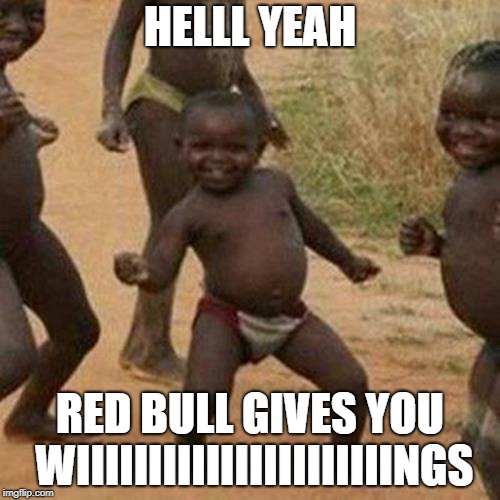 Third World Success Kid | HELLL YEAH; RED BULL GIVES YOU WIIIIIIIIIIIIIIIIIIIIIINGS | image tagged in memes,third world success kid | made w/ Imgflip meme maker