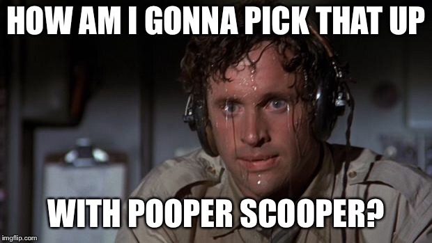 pilot sweating | HOW AM I GONNA PICK THAT UP WITH POOPER SCOOPER? | image tagged in pilot sweating | made w/ Imgflip meme maker
