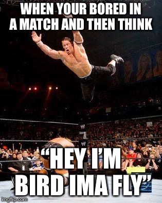 WWE | WHEN YOUR BORED IN A MATCH AND THEN THINK; “HEY I’M BIRD IMA FLY” | image tagged in wwe | made w/ Imgflip meme maker