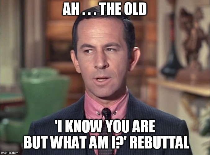 Maxwell Smart | AH . . . THE OLD 'I KNOW YOU ARE BUT WHAT AM I?' REBUTTAL | image tagged in maxwell smart | made w/ Imgflip meme maker
