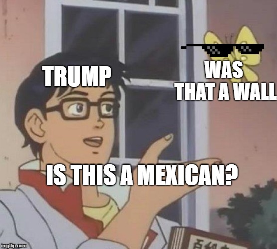 Is This A Pigeon Meme | TRUMP; WAS THAT A WALL; IS THIS A MEXICAN? | image tagged in memes,is this a pigeon | made w/ Imgflip meme maker